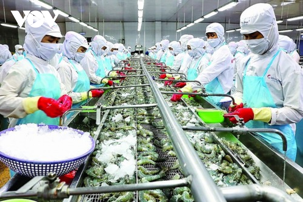 Shrimp exports enjoy positive growth in most major markets